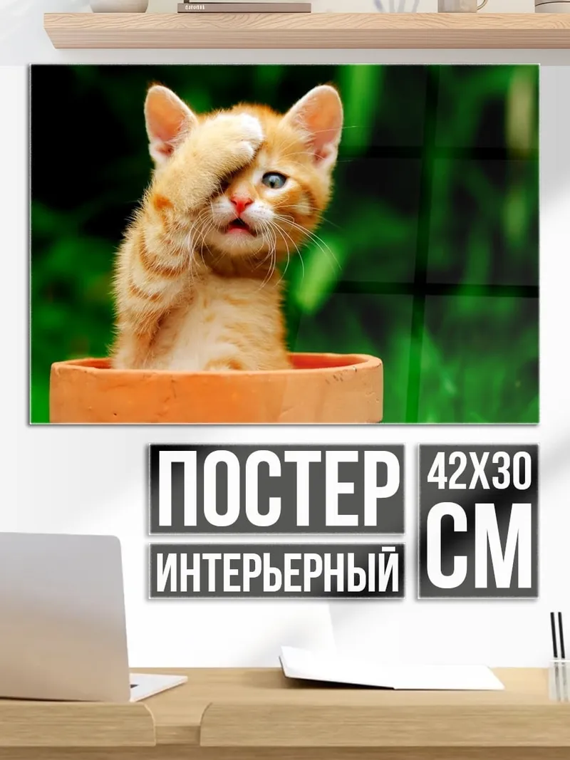 Постер Смущенный котенок