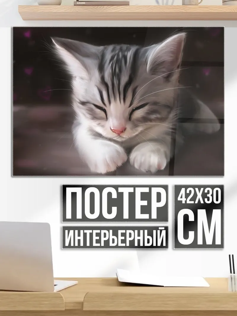 Постер Спящий котенок