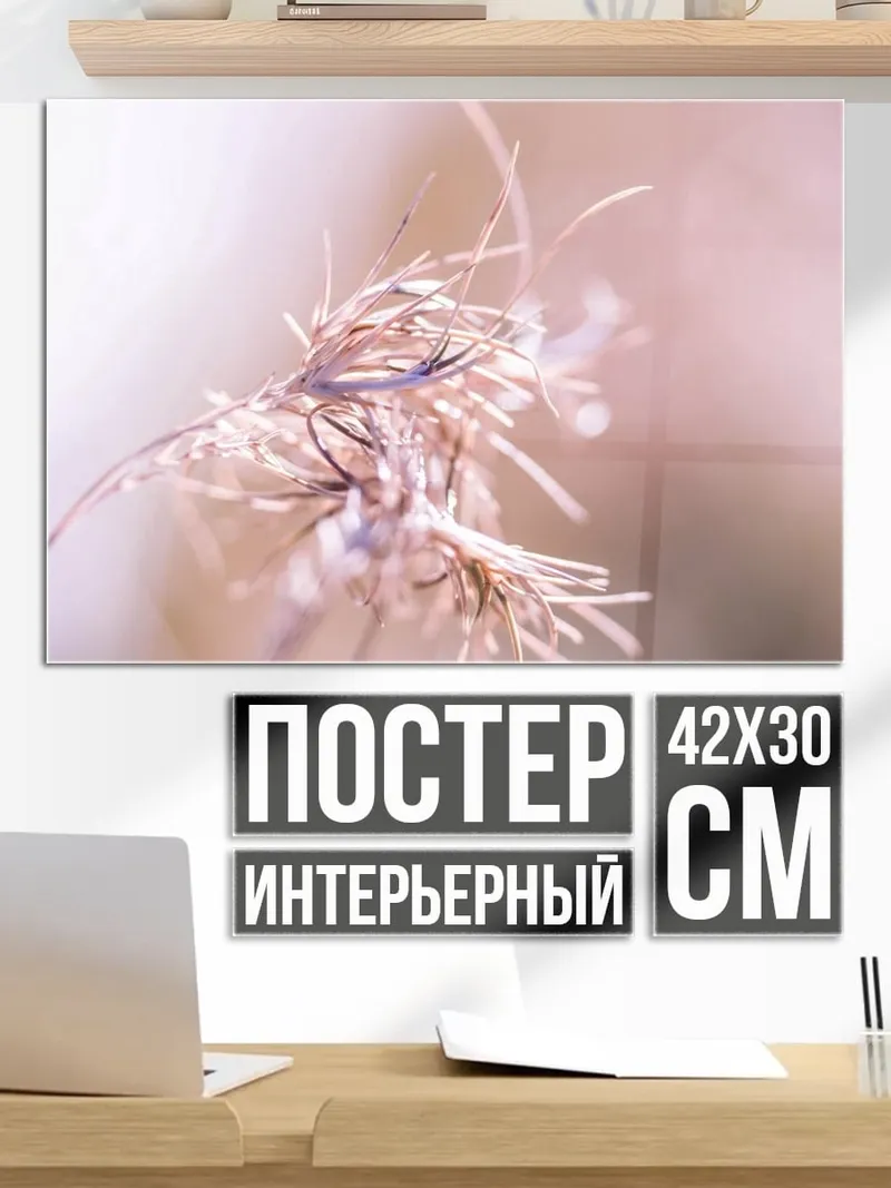 Постер Сухая трава крупным планом