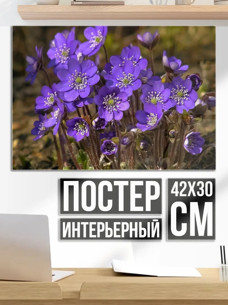 Постер Весенние цветы
