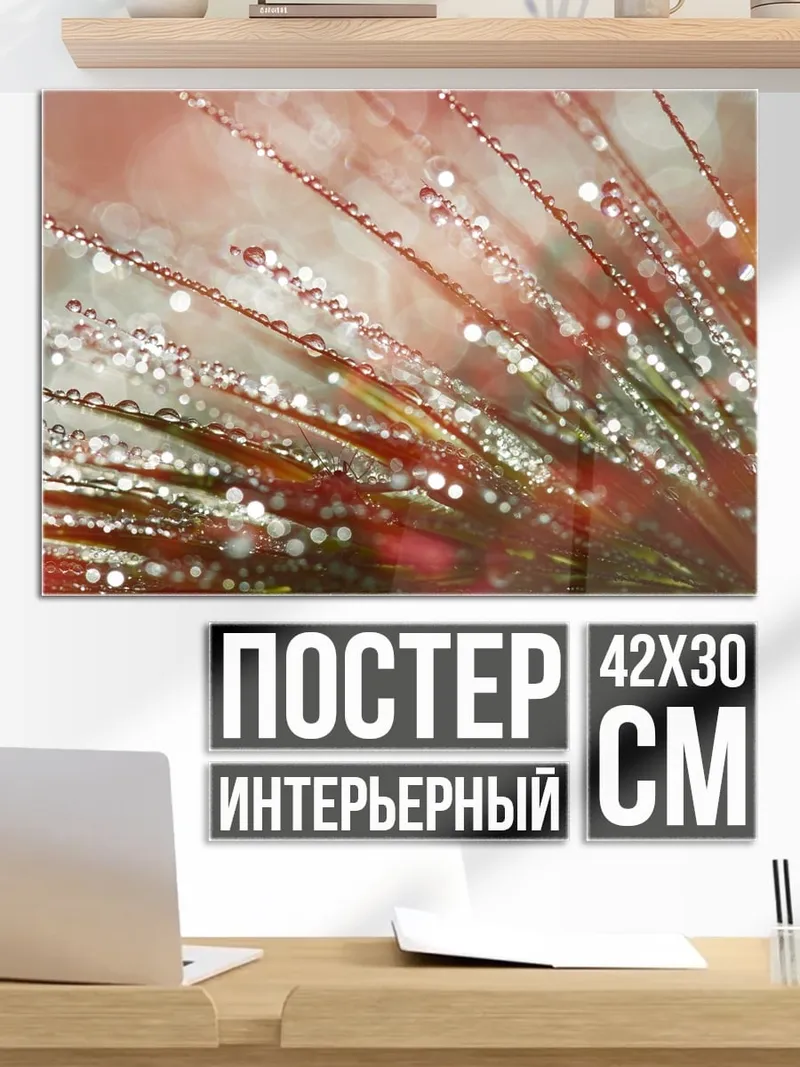 Постер Капли росы на траве