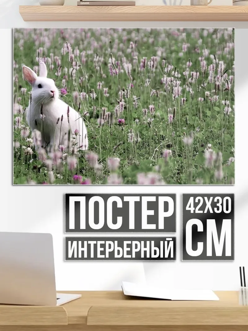 Постер белый кролик в поле
