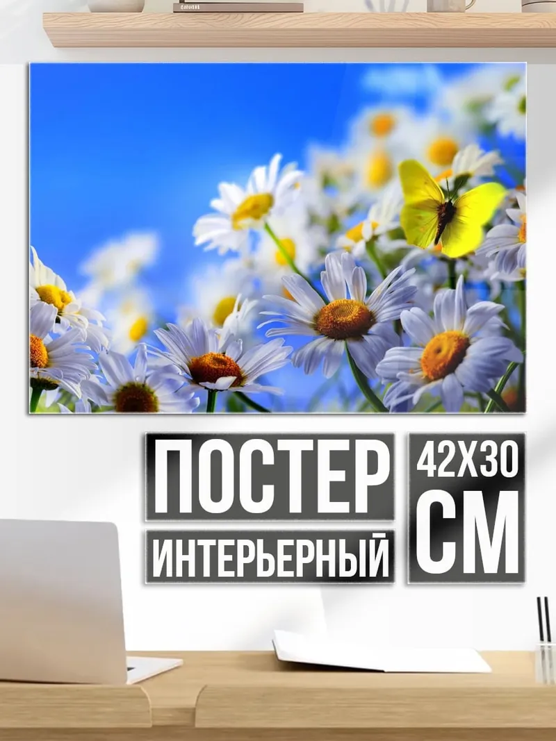 Постер бабочка на ромашке