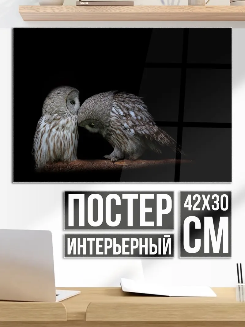 Постер Две совы