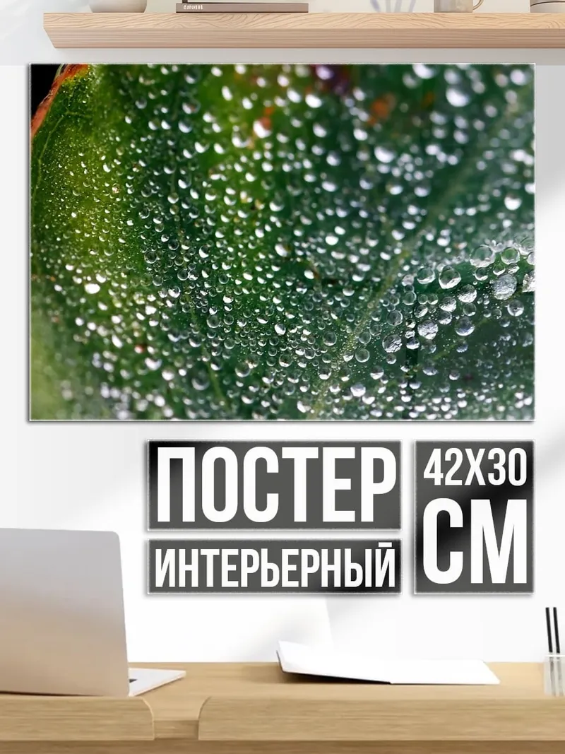 Постер Капли росы на листе