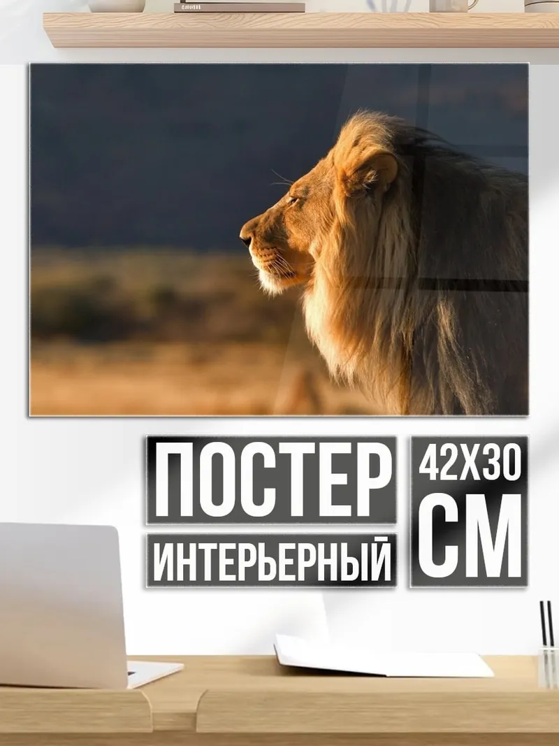 Постер Царь саванны лев