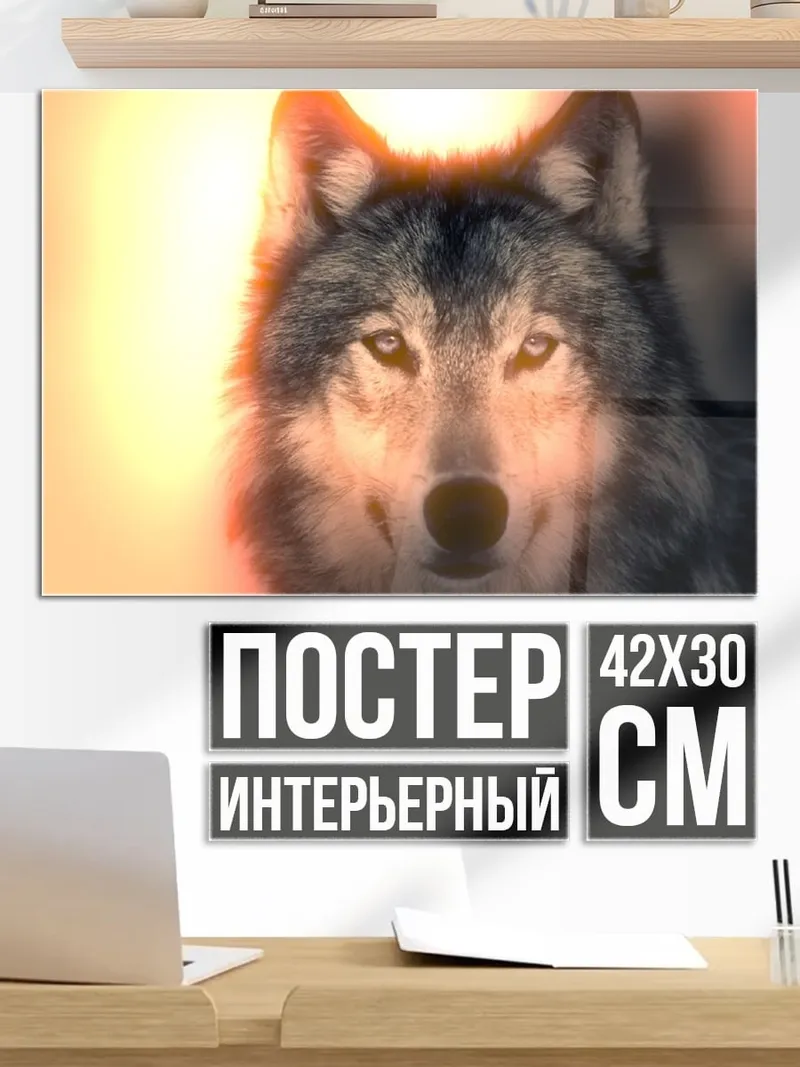 Постер Волк на закате