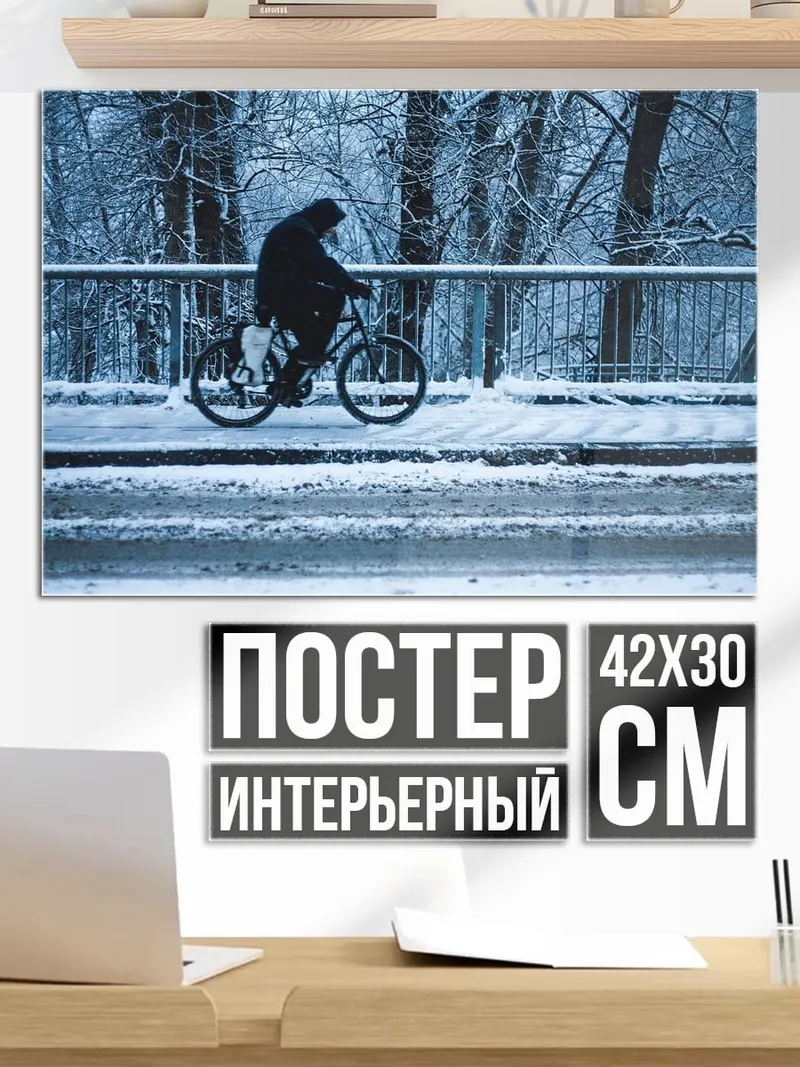 Постер Зимняя велопрогулка