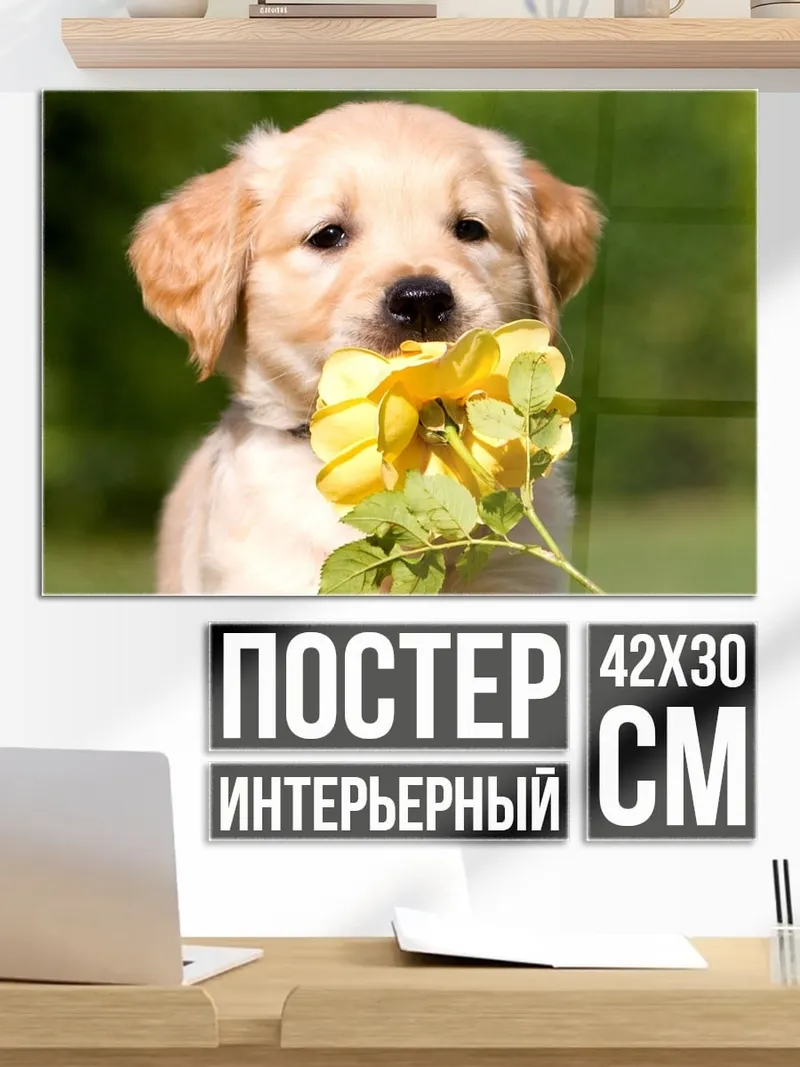 Постер Щенок с цветком