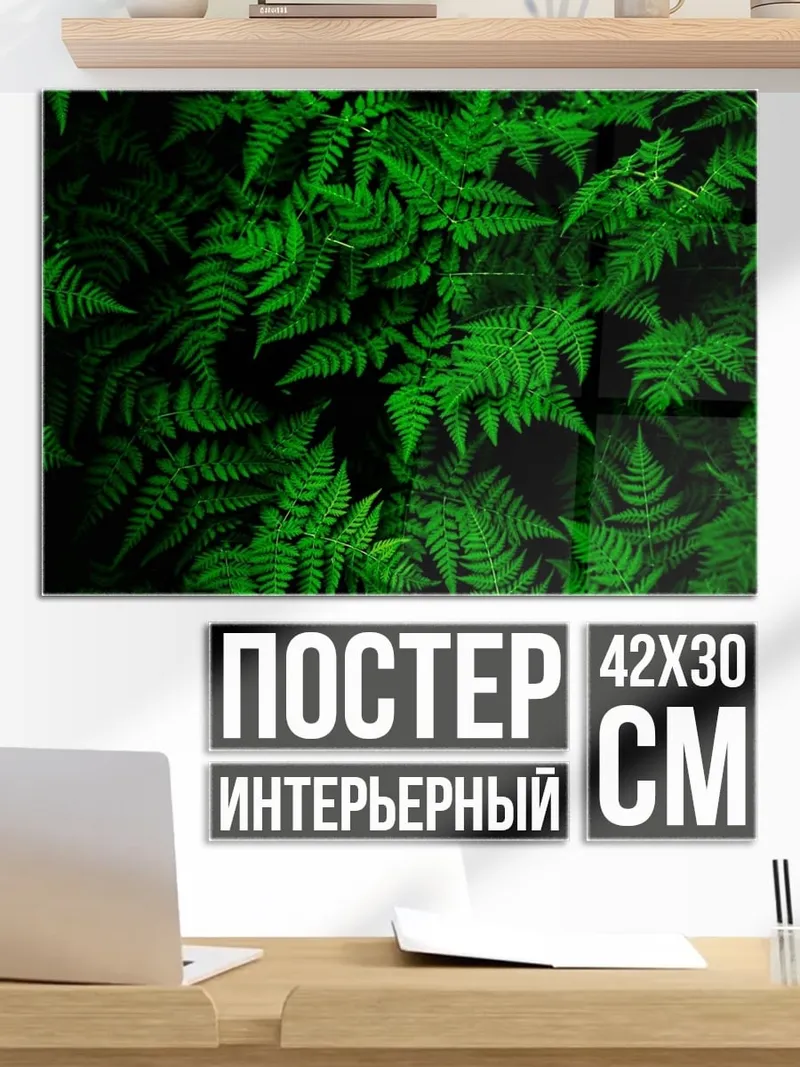 Постер Зеленый папоротник