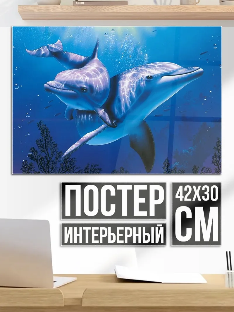 Постер Два дельфина плывут