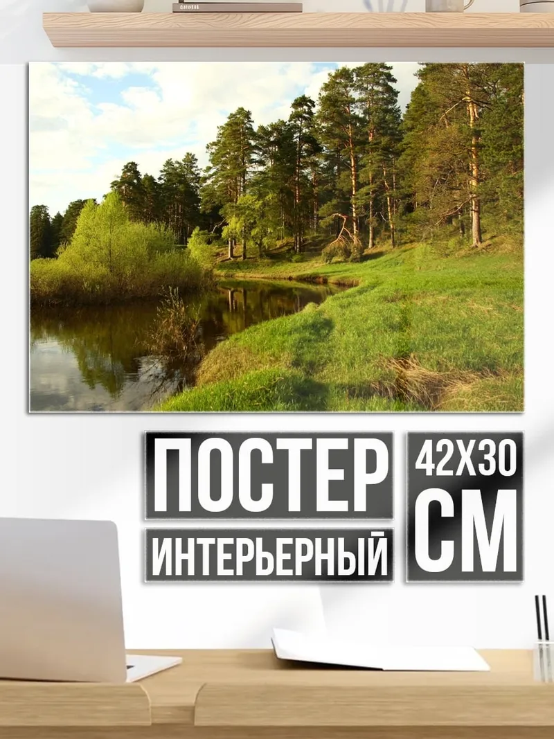Постер летний лес