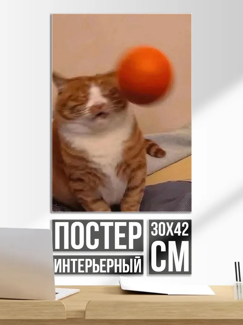 Постер Кот и мяч