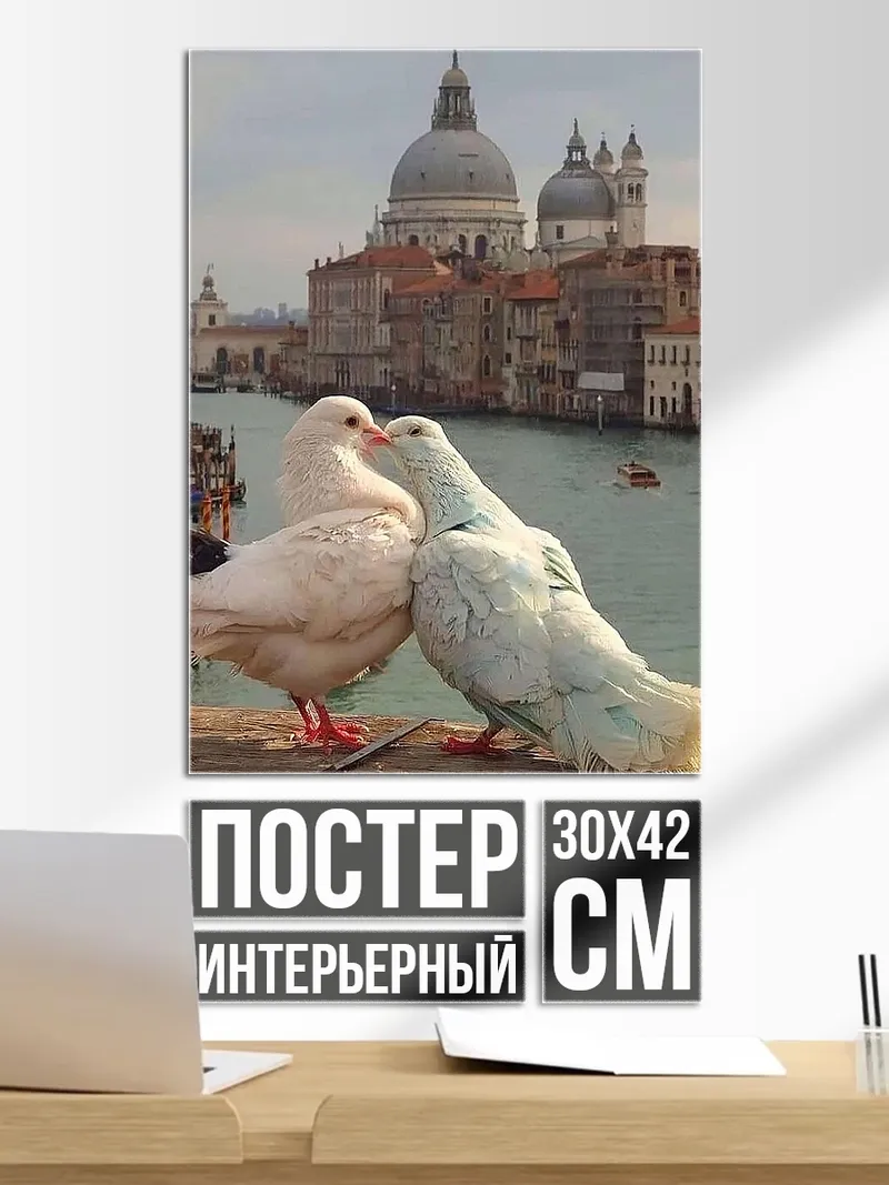 Постер Голуби в Венеции