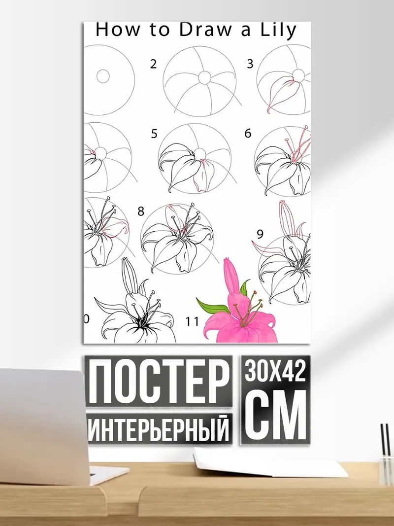 Постер Как нарисовать лилию