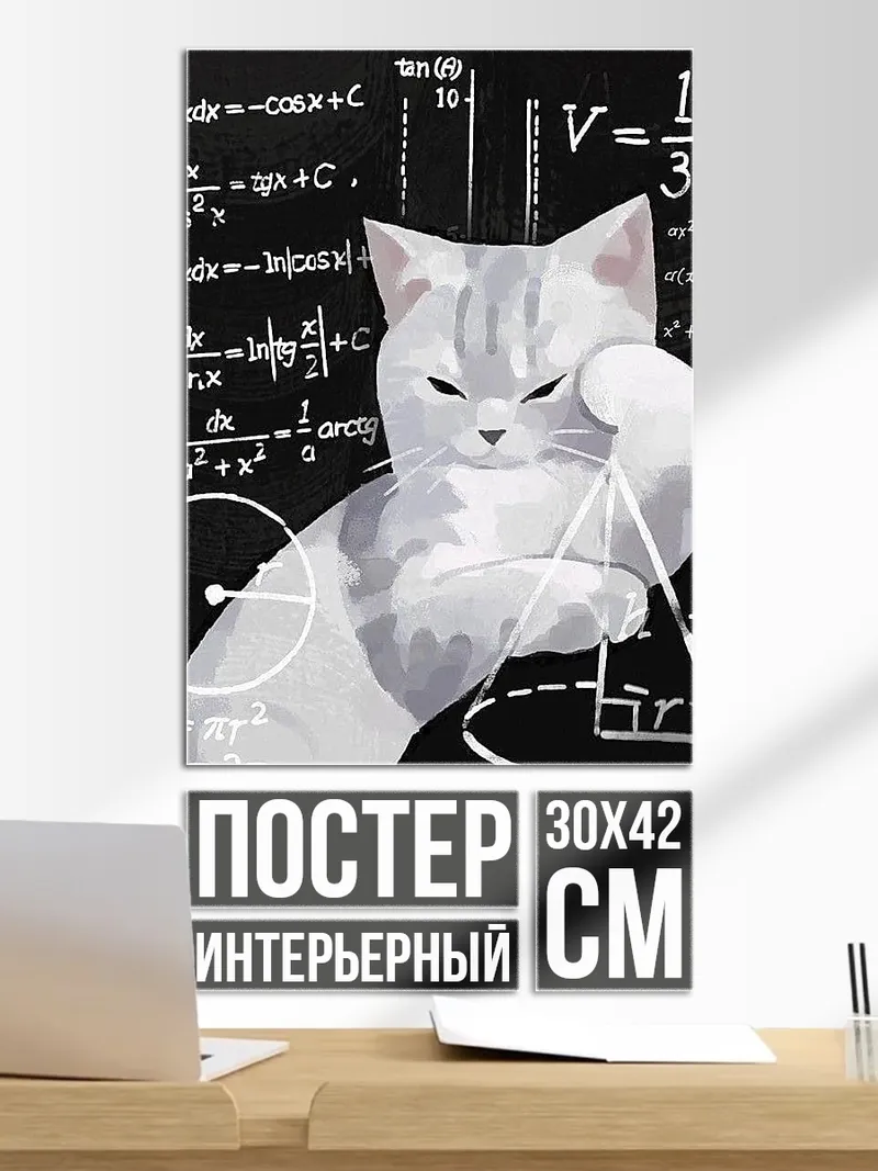 Постер Кот и математика