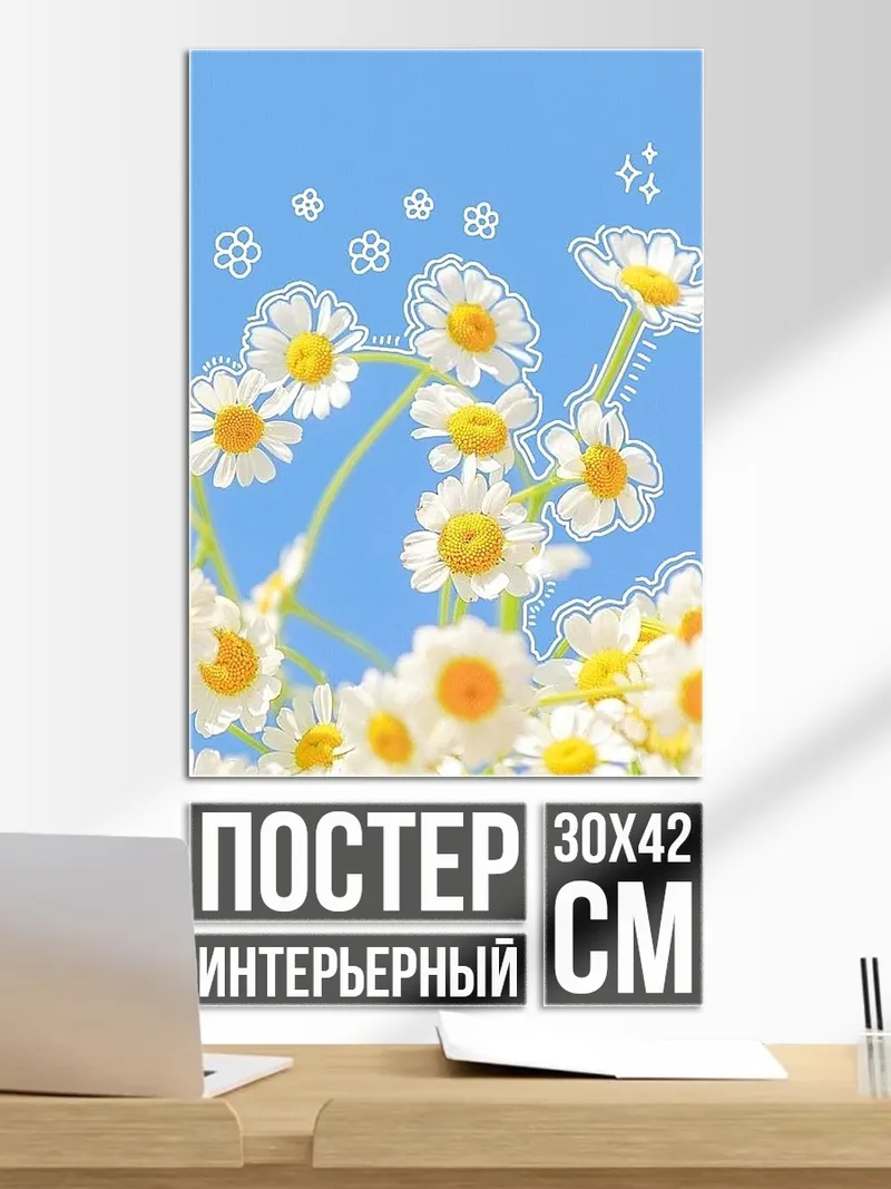 Постер Летнее поле ромашек