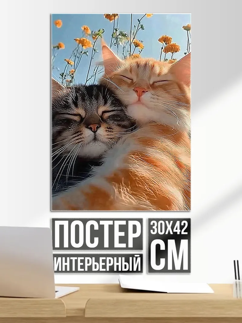 Постер Два кота в объятиях