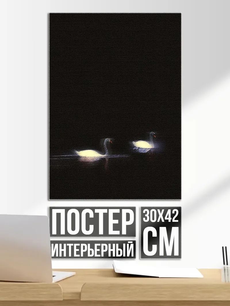 Постер Два лебедя в темноте