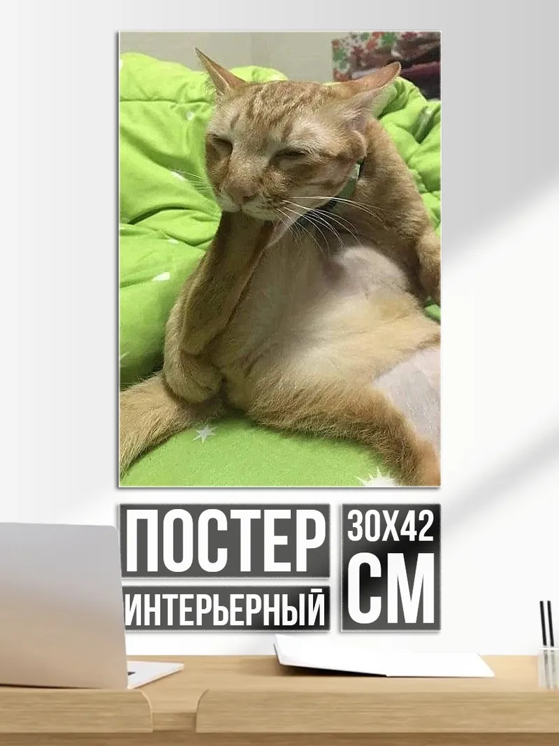 Постер Рыжий кот
