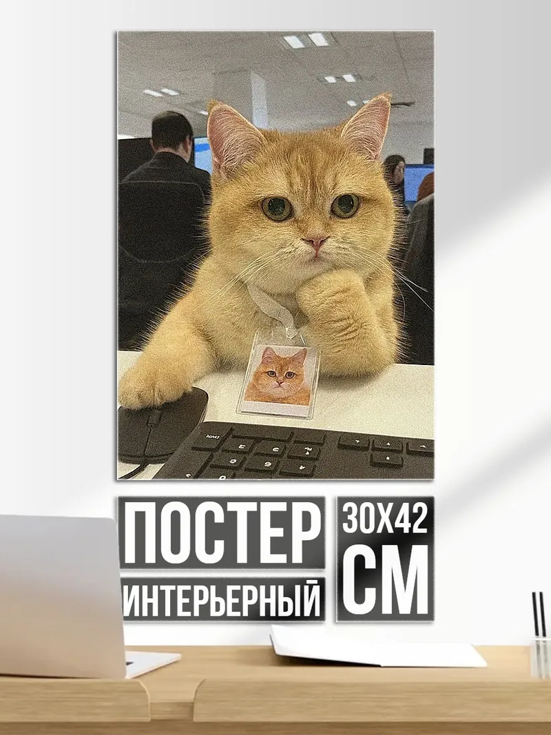 Постер Кот за компьютером