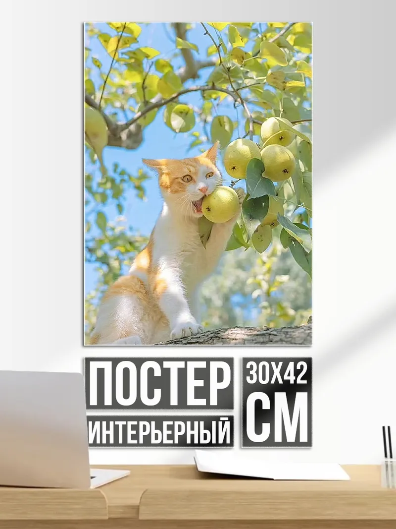 Постер Котёнок ест яблоко