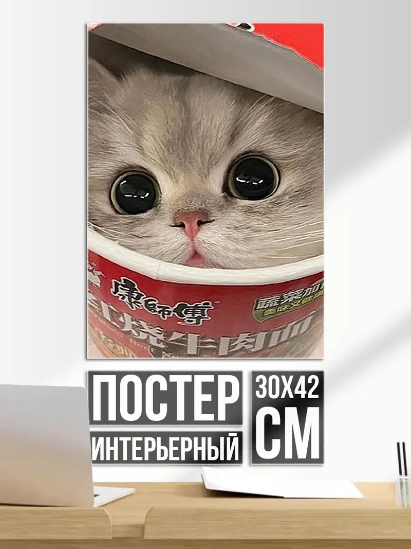 Постер Кот в стакане рамена