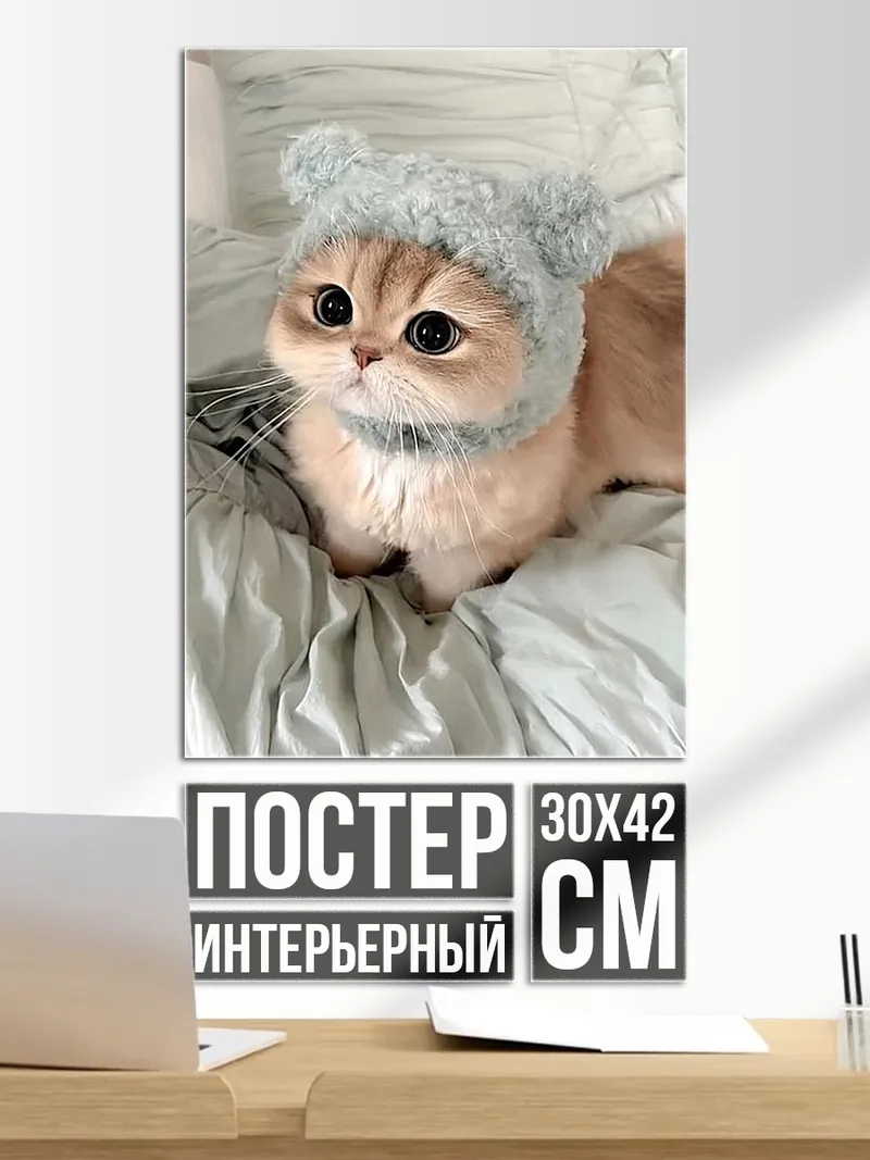 Постер Кот в шапке