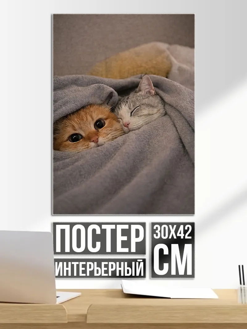 Постер Два котенка в пледе