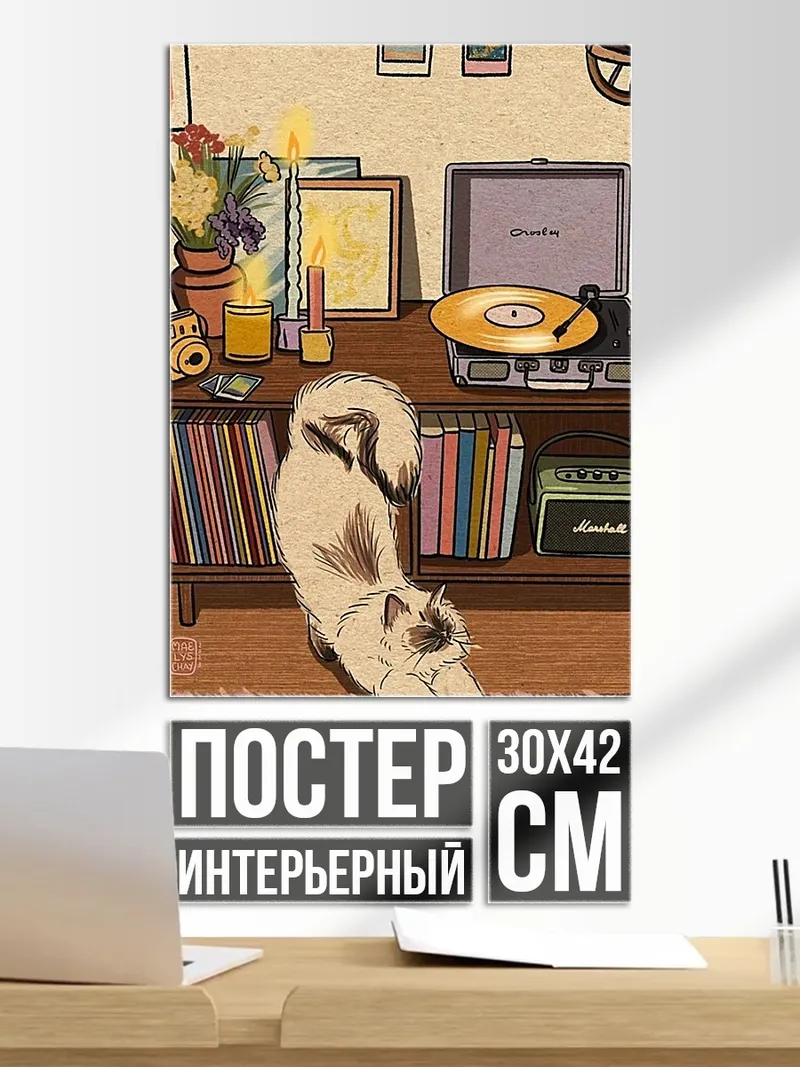 Постер Кот и виниловая пластинка