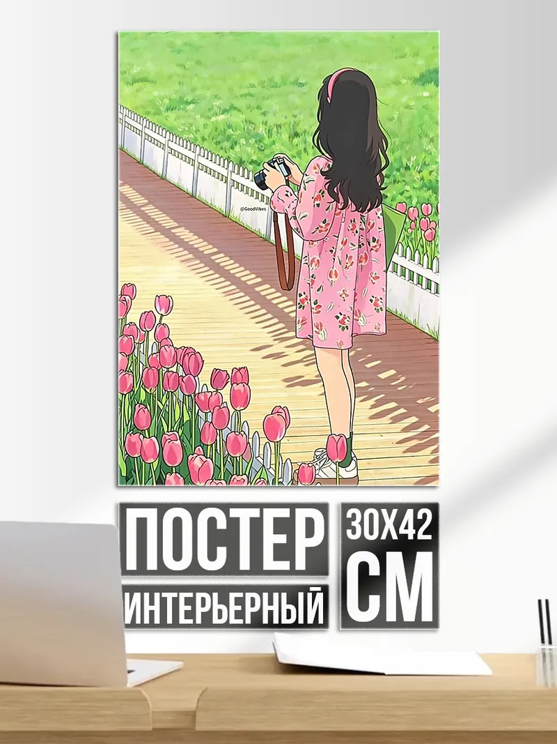 Постер Девушка с камерой