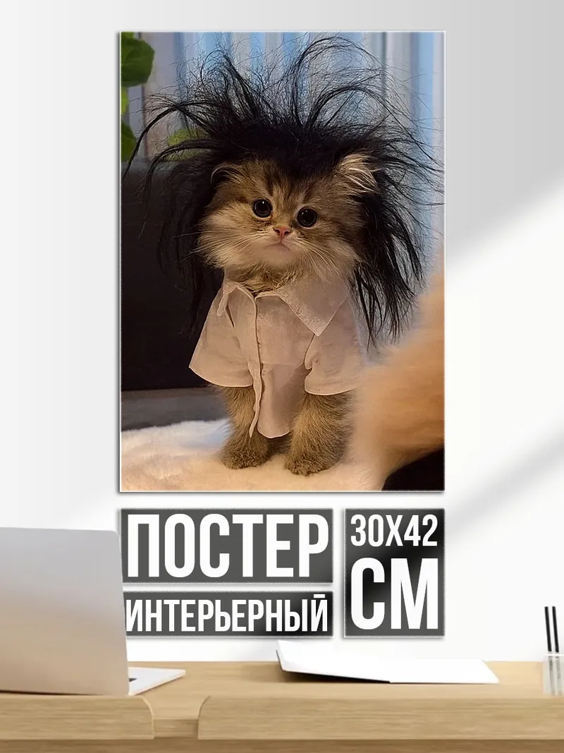 Постер Кот в рубашке