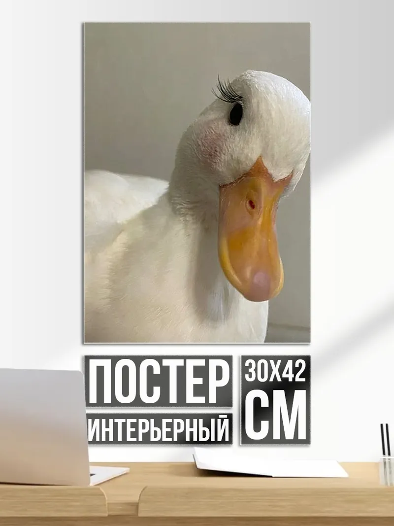 Постер Утка с ресницами