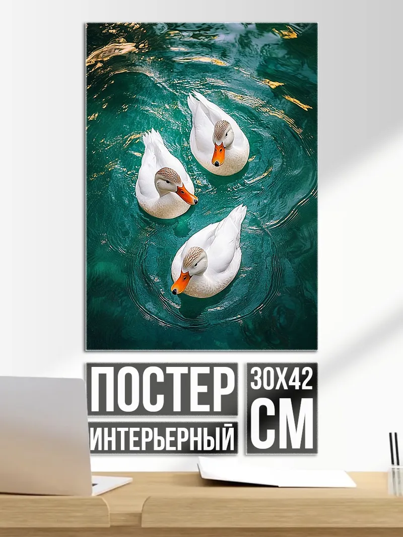 Постер Три утки в воде