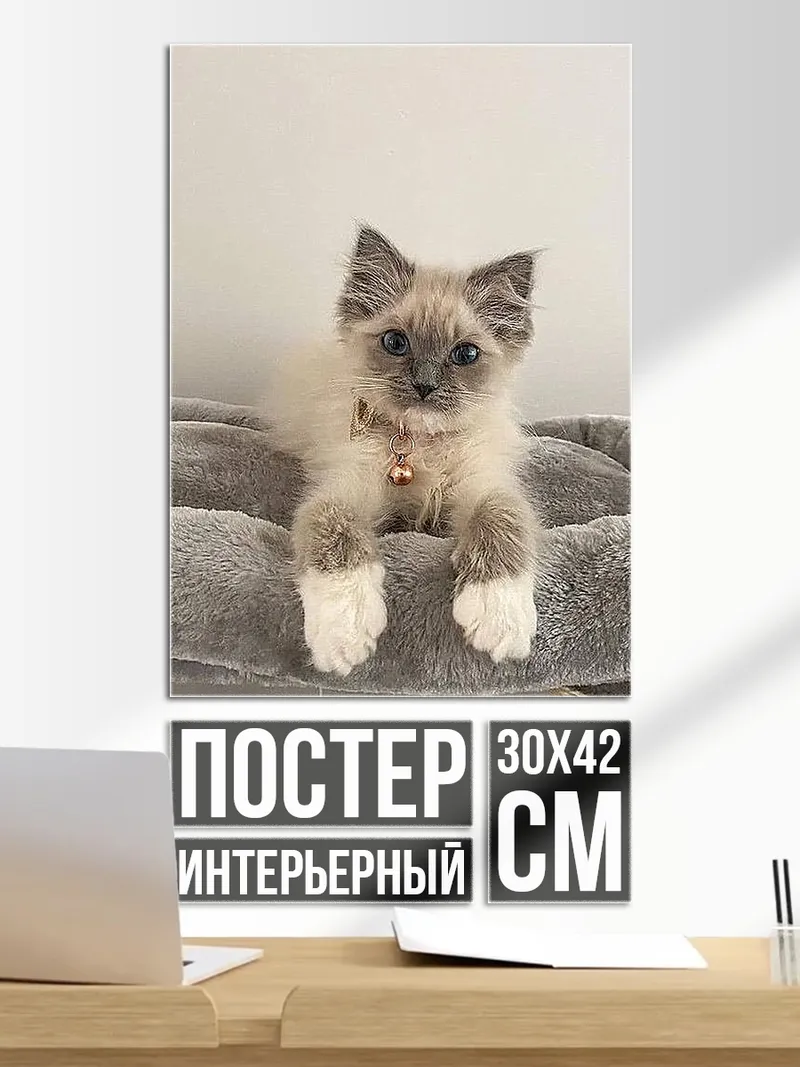 Постер вертикальное