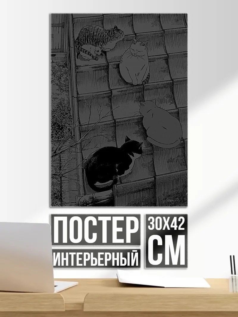Постер кошки на крыше