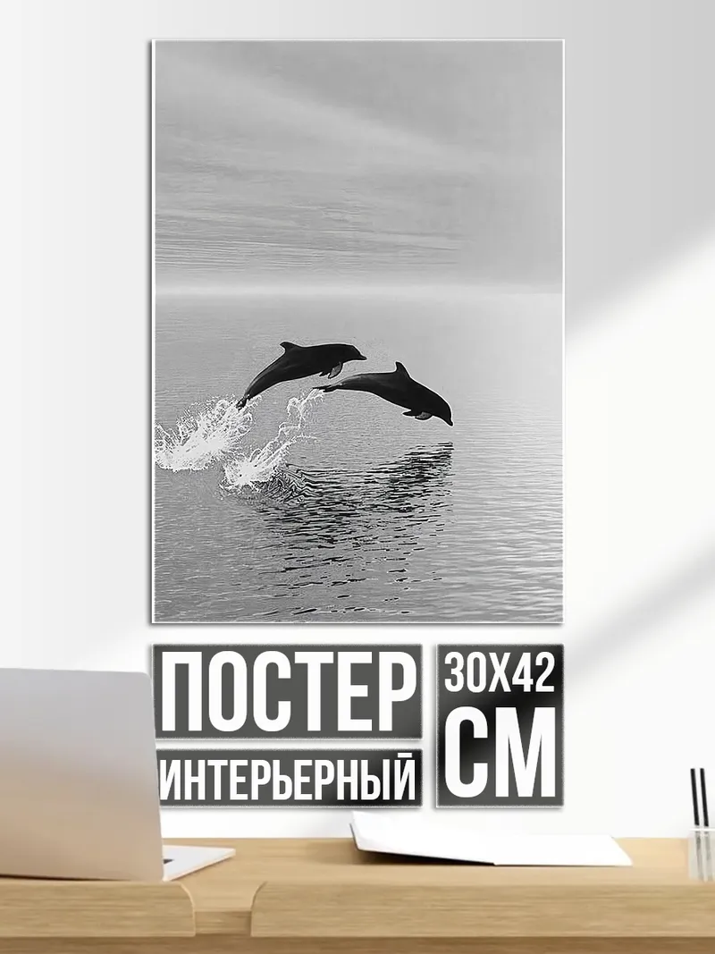 Постер Два дельфина в прыжке