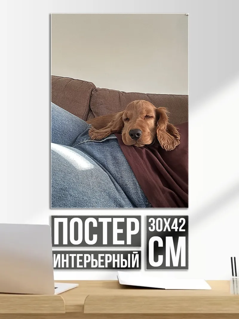 Постер Спящий щенок на диване