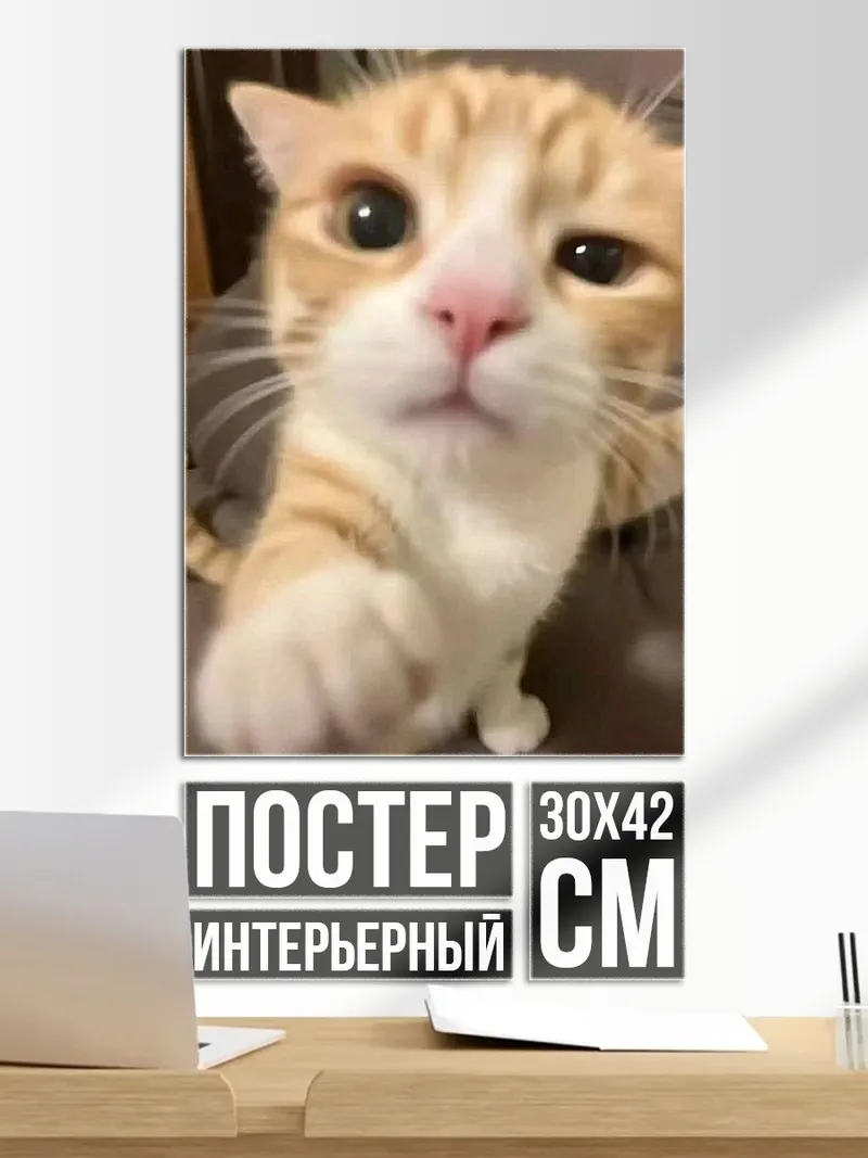 Постер Рыжий кот
