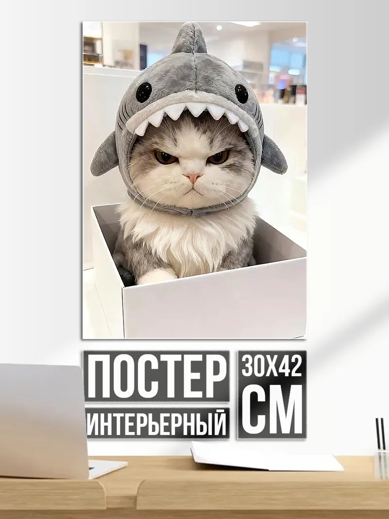 Постер Кот в шапке акулы