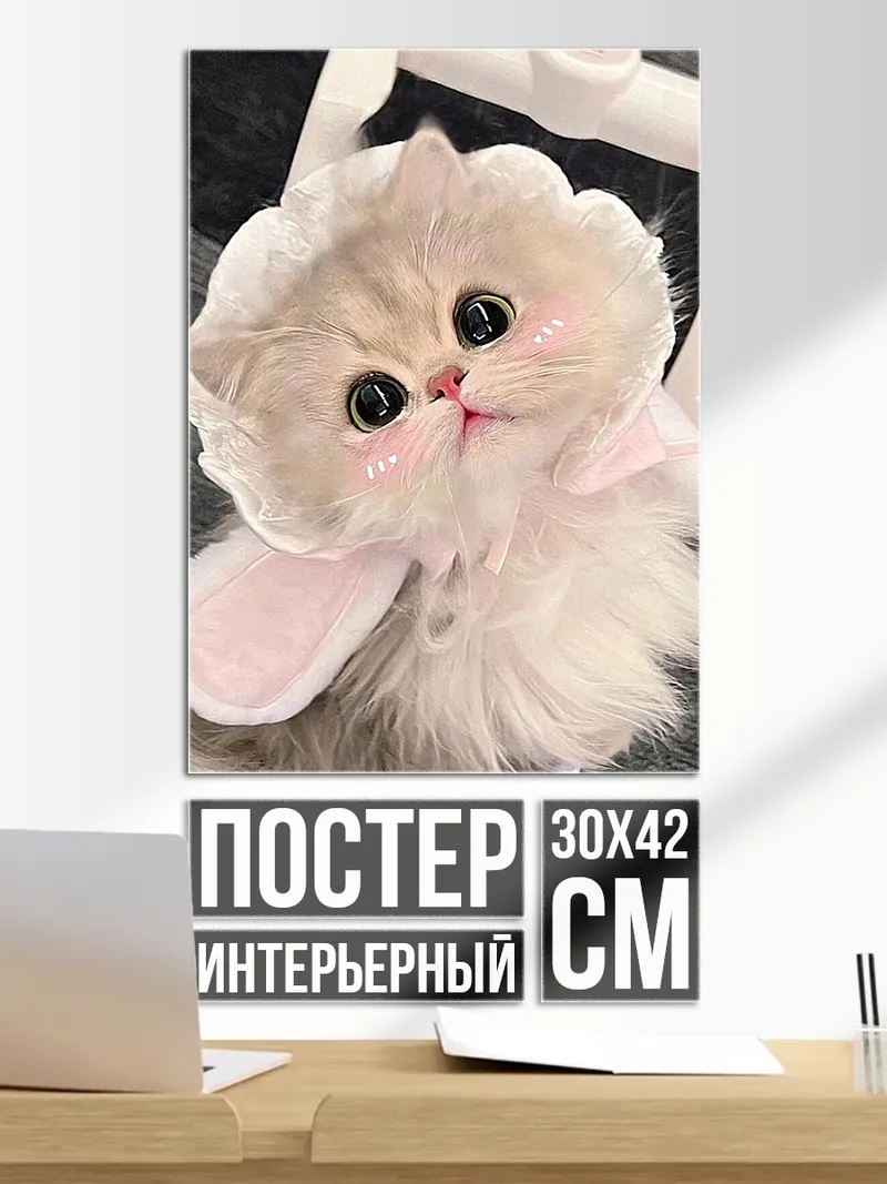 Постер Пушистый котенок