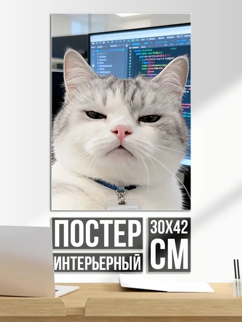 Постер кот программист