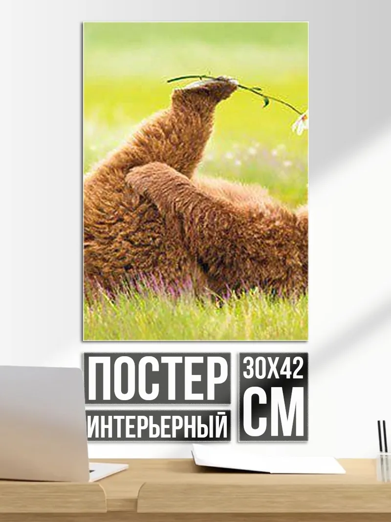 Постер Медведь с цветком
