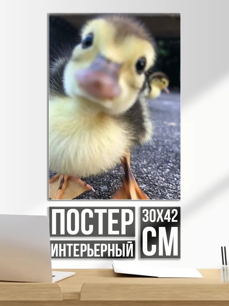 Постер Милый утёнок