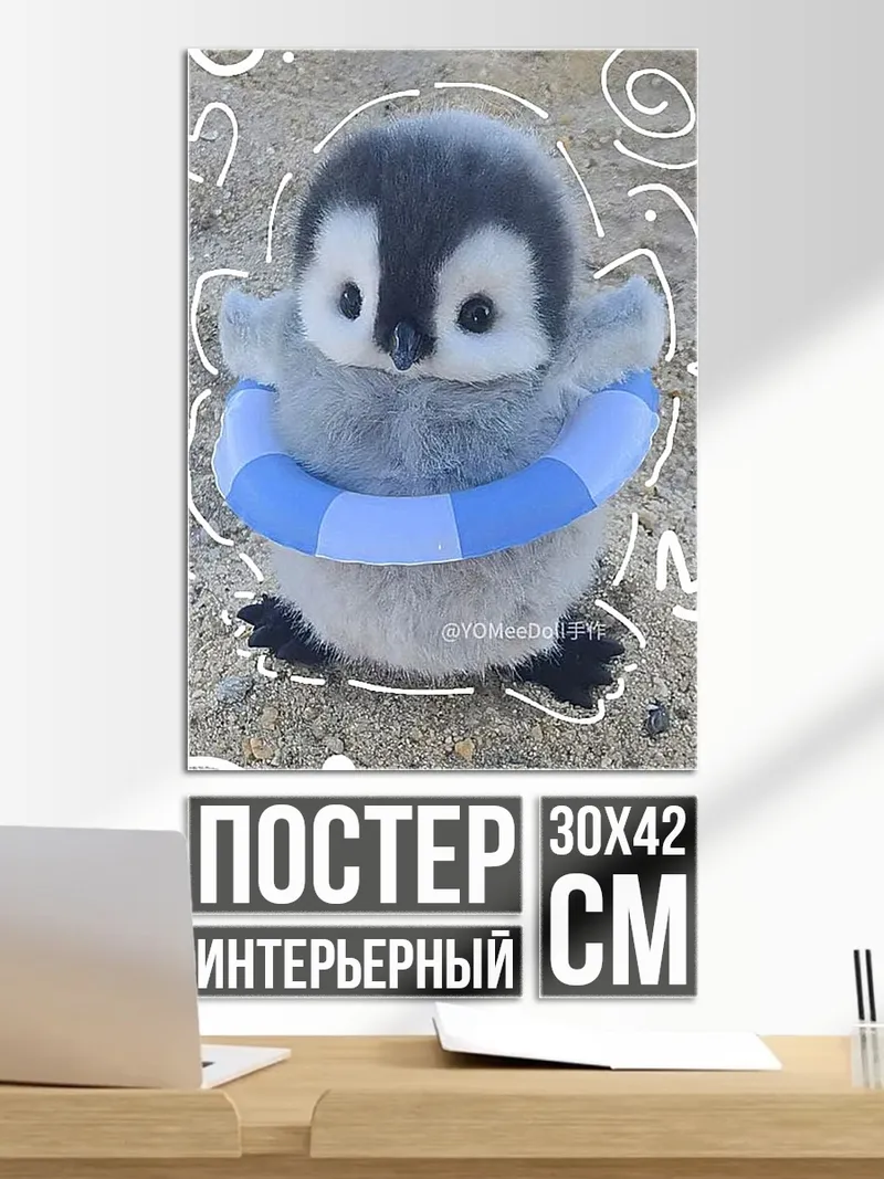 Постер Птенец пингвина в круге