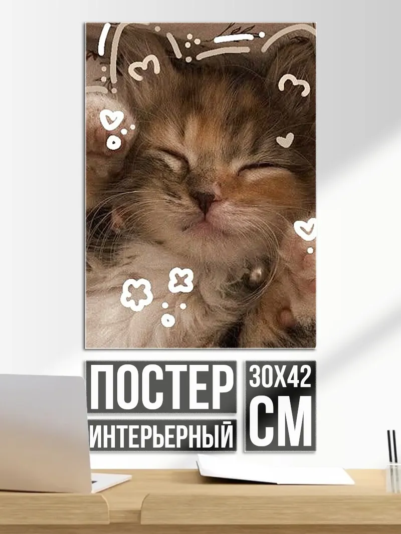 Постер Спящий котенок