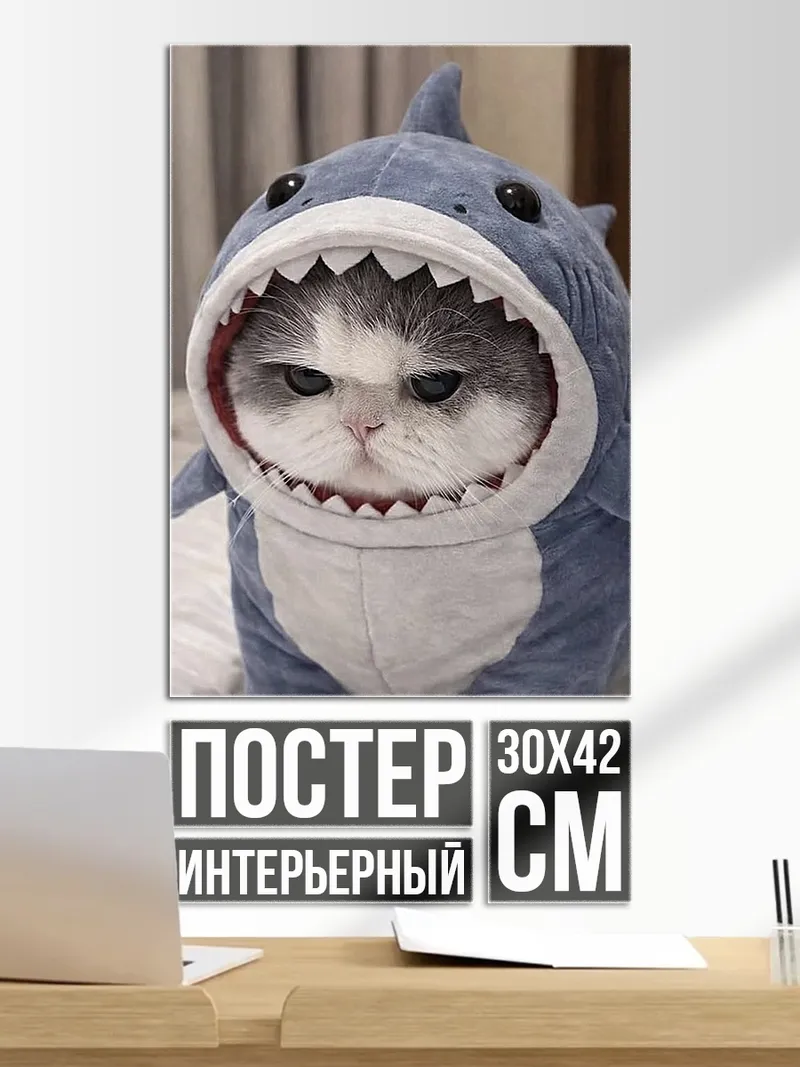 Постер Кот в костюме акулы