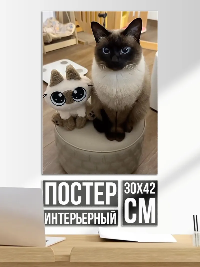 Постер Сиамский кот и игрушка