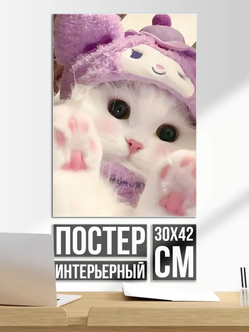 Постер Милый котенок в шапке
