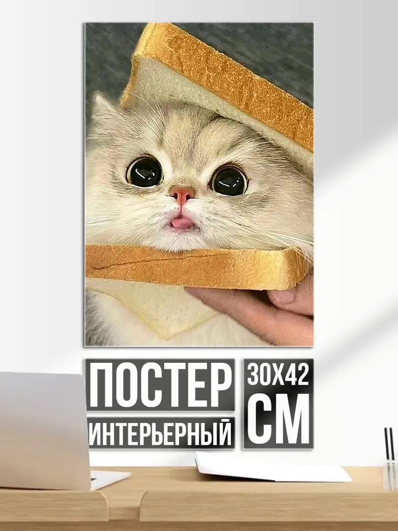 Постер Кот в сэндвиче